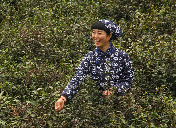 百丽网站 热门4